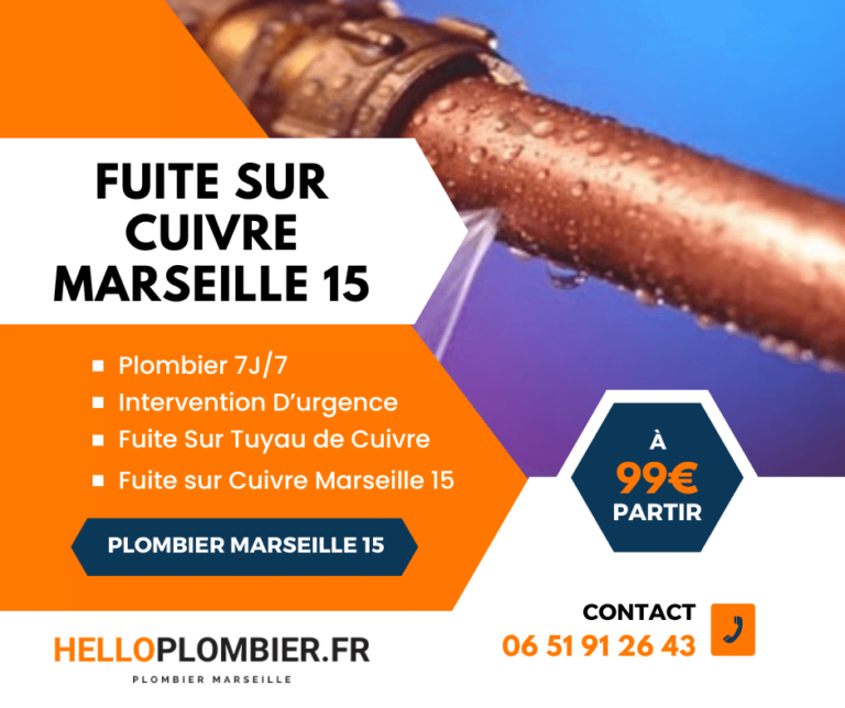 Plombier Marseille 15